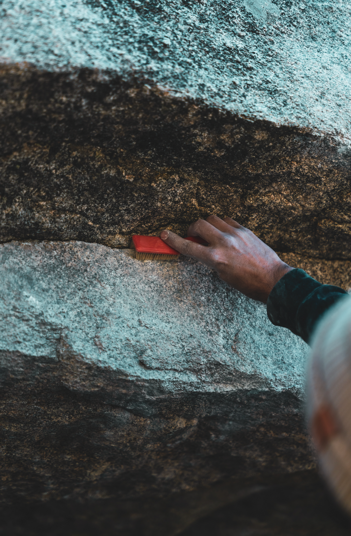 Bouldering Brush